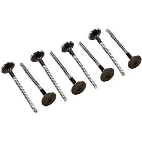 25192555 Ac Delco Exhaust Valve For Chevy Sedan Chevrolet Aveo Pontiac Wave