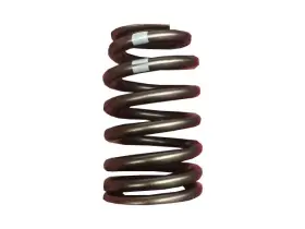 68ww56x Ac Delco Valve Spring Fits 2002-2013 Chevy Corvette