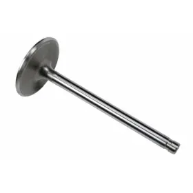 Olx-acd12556317-cl360a55 Ac Delco Genuine Acdelco For Gmc Savana 1500/2500 2001 2002 Intake Valve Stainless Steel