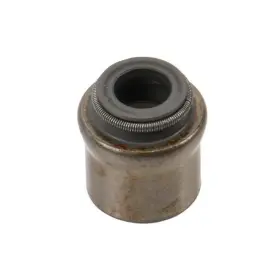Olx-acd12624396-cl360a50 Ac Delco Genuine Acdelco For Chevy Express 2500/3500/4500 2010-2016 Valve Stem Seal Gray
