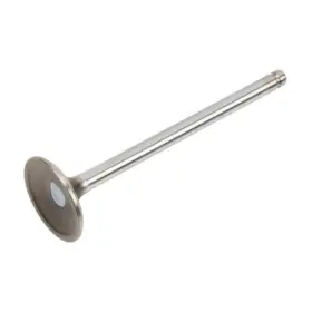 Olx-acd12678745-cl360a54 Ac Delco Genuine Acdelco For Chevy Express 3500/2500 2018-2024 Exhaust Valve Steel