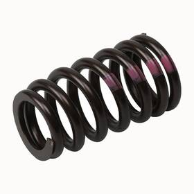 Ac Delco Olx-acd55571551-cl360a50 Genuine Acdelco For Chevy Cruze 2011-2016 Valve Spring Steel Wire Coil Type