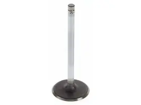 Rk549hg Ac Delco Intake Valve For 1999-2006 Chevy Silverado 1500 2000 2001 2002 2003 2004