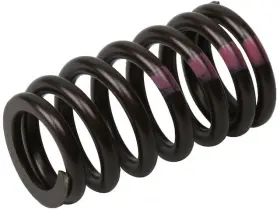 Yp568mg Ac Delco Valve Spring For 2011-2015 Chevy Cruze 2014 2013 2012