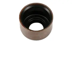 10212810 Acdelco For Chevy Silverado 1500 99-12 Genuine Gm Parts Intake Valve Stem Oil Seal