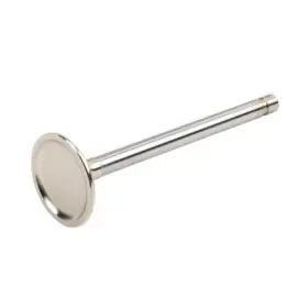 12551313 Acdelco Engine Exhaust Valve