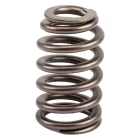 12592506 Acdelco For Chevy Colorado 2007-2012 Genuine Gm Parts Valve Spring