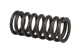 12636319 Acdelco For Chevy Malibu 2016-2021 Genuine Gm Parts Valve Spring