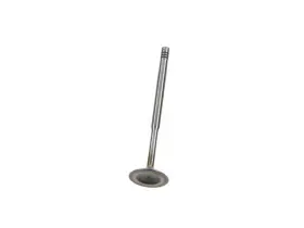 Bj398fh Ae Intake Valve For 1998-2004 Audi A6 1999 2000 2001 2002 2003