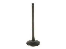 Kq64m6 Ae Intake Valve For Rodeo Slx Passport Amigo Axiom Sport Trooper Vehicross