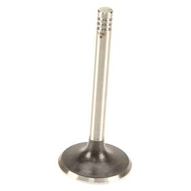 Ae W0133-1629017-ae For Volkswagen Jetta 1985-1992 Intake Valve