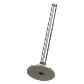 Ae W0133-1632434-ae For Volkswagen Jetta 1987-1992 Intake Valve