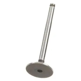 W0133-1632434-ae Ae For Volkswagen Jetta 1987-1992 Intake Valve