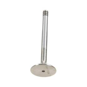 Ae W0133-1733713-ae For Volkswagen Jetta 1986-1992 Intake Valve