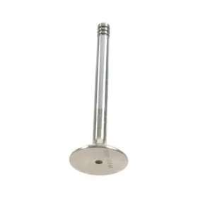 W0133-1733713-ae Ae For Volkswagen Jetta 1986-1992 Intake Valve