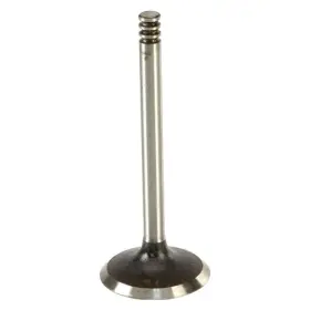 W0133-1768814-ae Ae For Volkswagen Jetta 2005-2006 Intake Valve