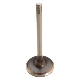 Ae W0133-2546833-ae For Bmw 325i 1990-1993 Intake Valve