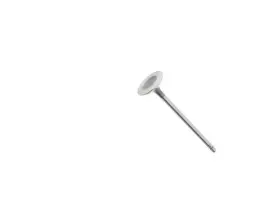 Xx31t6 Ae Intake Valve For 07-16 Mini Cooper Countryman Paceman Base Clubman Coupe