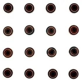 Avs1003 Apex Auto For Honda Civic 1988-2013 Valve Stem Seal Set