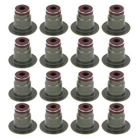 Apex Auto Avs11019 For Ford Excursion 2000-2003 Valve Stem Seal Set