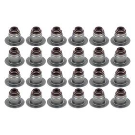 Apex Auto Avs11030 For Ford F-150 2004-2010 Valve Stem Seal Set