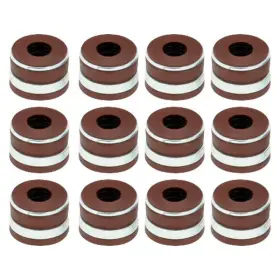 Avs11055 Apex Auto For Dodge Ram 2500 1994-1998 Valve Stem Seal Set