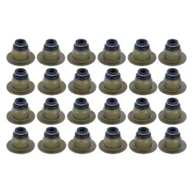 Avs11082 Apex Auto For Ford F-150 2011-2013 Valve Stem Seal Set