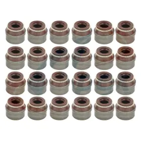 Avs13012 Apex Auto Valve Stem Seal Set