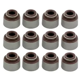 Avs2002 Apex Auto For Mitsubishi 3000gt 1991-1999 Valve Stem Seal Set
