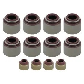 Avs2008 Apex Auto For Dodge Challenger 1978-1983 Valve Stem Seal Set