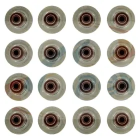 Avs2065 Apex Auto For Dodge Ram 1500 2002-2010 Valve Stem Seal Set