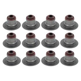 Apex Auto Avs2074 For Dodge Ram 1500 2002-2010 Valve Stem Seal Set