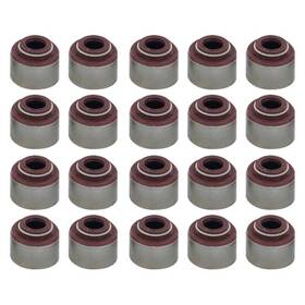 Apex Auto Avs2095 For Dodge Ram 1500 2004-2006 Valve Stem Seal Set