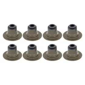 Avs4050 Apex Auto For Ford Ranger 1999-2001 Valve Stem Seal Set