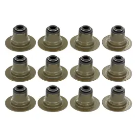 Avs4139 Apex Auto For Ford F-150 1999-2008 Valve Stem Seal Set