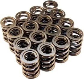 Bxpt-10301 Blox Racing Bxpt 10301 Bx Valve Springs