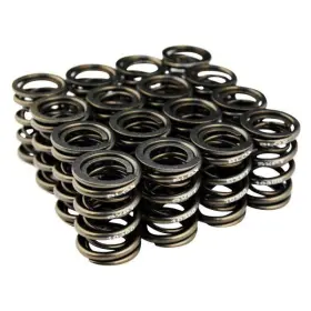 Bxpt-10303 Blox Racing Dual Valve Spring Kit For 2000-2009 Honda S2000 F20c F22