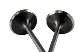 Bxpt-20205 Blox Racing High Compression Exhaust Valve Set For Honda F20c Of 8