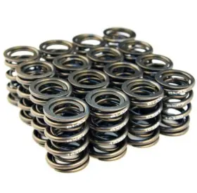 Bxpt-20300 Blox Racing Set Of 16 Valve Springs For H-series Dohc Vtec