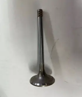 11341251063 Bmw One M10 Exhaust Valve 38 0/8 00mm