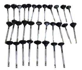 11347609941 Bmw 09-19 F07 F10 F06 F12 F15 F01 F02 750i N63 S63 Intake-exhaust Valves