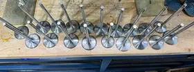 11347833775 Bmw 2006 2007 2008 S85 M5 M6 V10 Engine Intake And Exhaust Valves