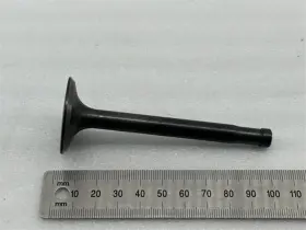 P2541041110 Bmw R5 R51 R66 Exhaust And Intake Valve