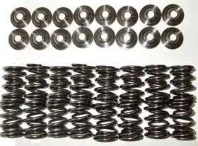 Bc0010 Brian Crower Dual Valve Springs Titanium Retainers Kit For Honda Acura B16a B18c