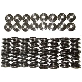 Bc0020 Brian Crower Dual Valve Springs Ti Retainers For Acura B18 B18a B18a1 B18b B18b1