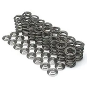Bc0030s Brian Crower Dual Valve Springs Steel Retainers For Honda H22 H22a H22a1 H22a4