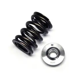 Bc0040sx Brian Crower Dual Spring/steel Retainer Kit For Honda/acura K20a F20c/f22c