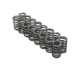 Bc1300 Brian Crower Bc Valve Springs