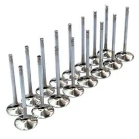 Bc3020 Brian Crower Ss Valves For Honda Acura B18 B18a B18a1 B18b B18b1 B20 B20b