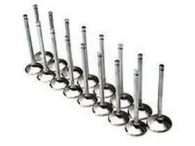 Bc3225 Brian Crower Bc Valves - 32.5mm Exhaust For Nissan Vq35de